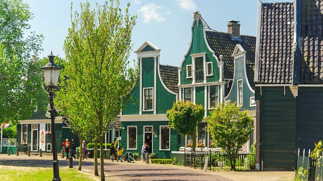 Zaanse Schans traditional green houses and trees on a sunny day.