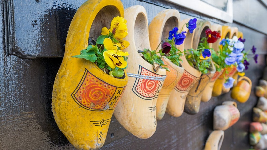 Clogs with flowers on display during Zaanse Schans, Volendam, Edam, and Marken tour.