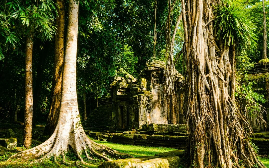 Angkor Wat Sunrise Private Tour Image 3