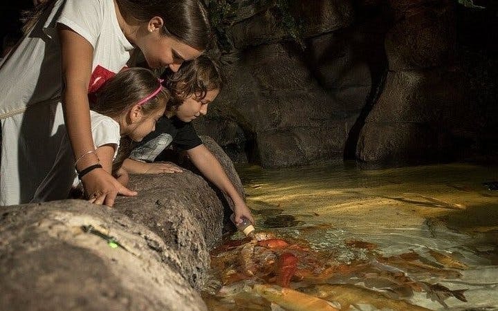 Antalya Aquarium and Face2Face Wax Museum Combo Ticket Image 9