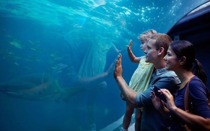 Antalya Aquarium & Fun Park Tour–All-Inclusive with Hotel Pickup Image 7