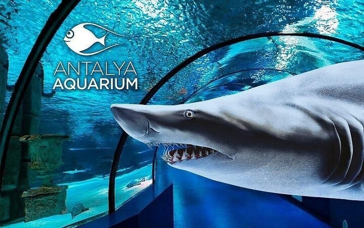 Antalya Aquarium & Fun Park Tour–All-Inclusive with Hotel Pickup Image 9