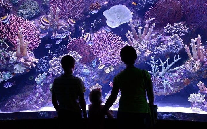 Antalya Aquarium & Fun Park Tour–All-Inclusive with Hotel Pickup Image 10