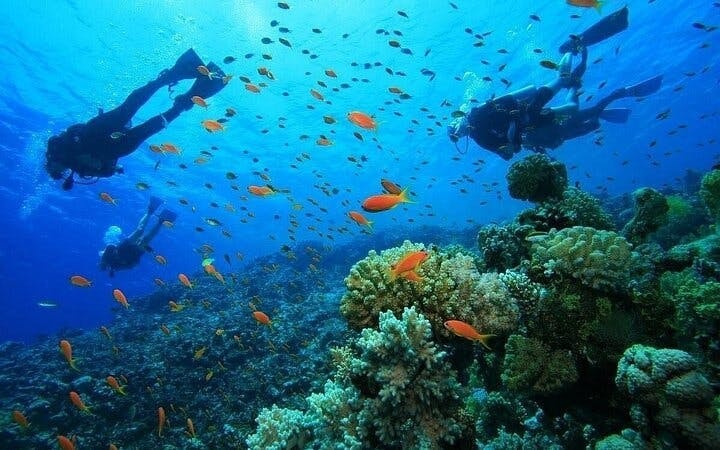 Antalya Scuba Diving & Snorkeling Tour with Lunch Image 5