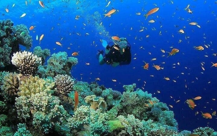 Antalya Scuba Diving & Snorkeling Tour with Lunch Image 7
