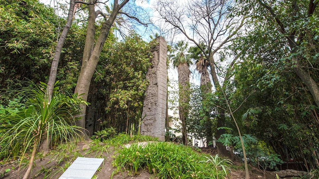 Stone monolith surrounded by trees at the National Museum of Anthropology, Mexico City.