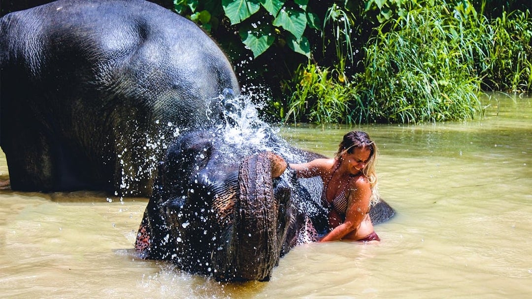 Ao Nang Elephant Sanctuary Half-Day Guided Tour with Hotel Transfers