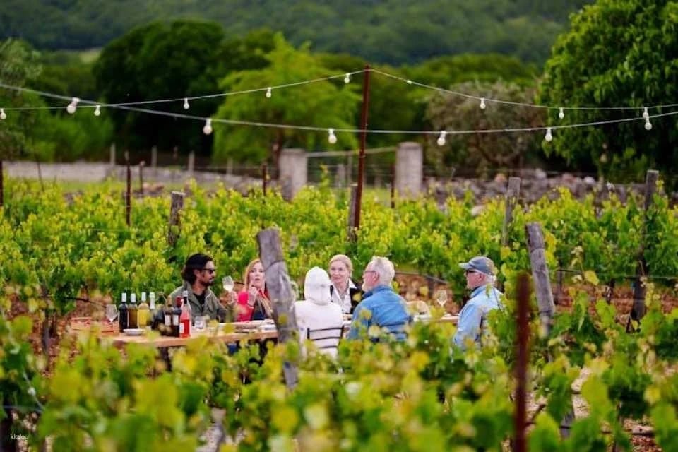 Apulian cooking class and dinner