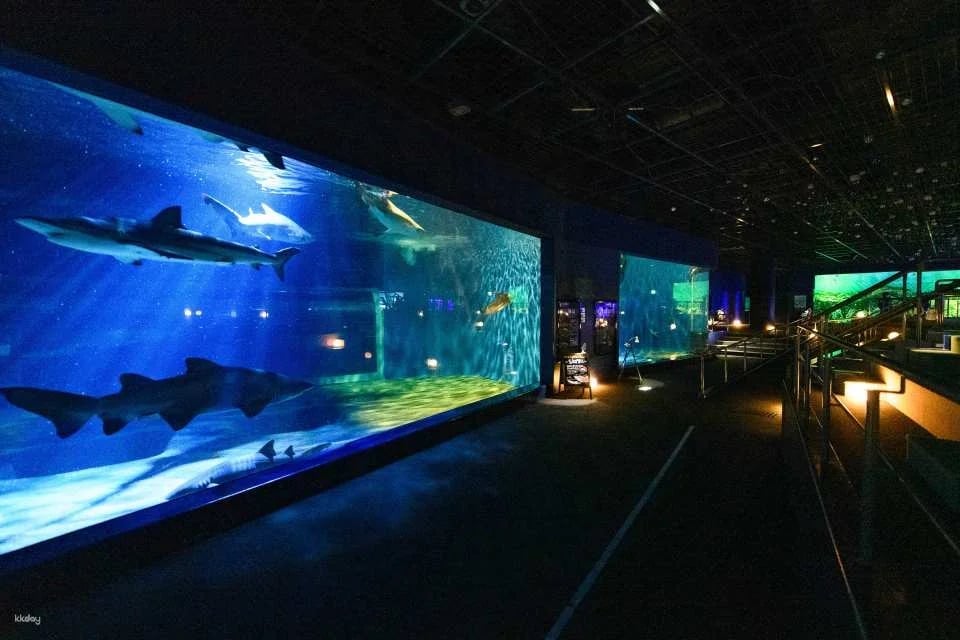 [Smooth entry with advance purchase] Aqua World Ibaraki Oarai Aquarium Admission Ticket