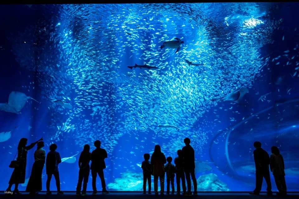 [Smooth entry with advance purchase] Aqua World Ibaraki Oarai Aquarium Admission Ticket