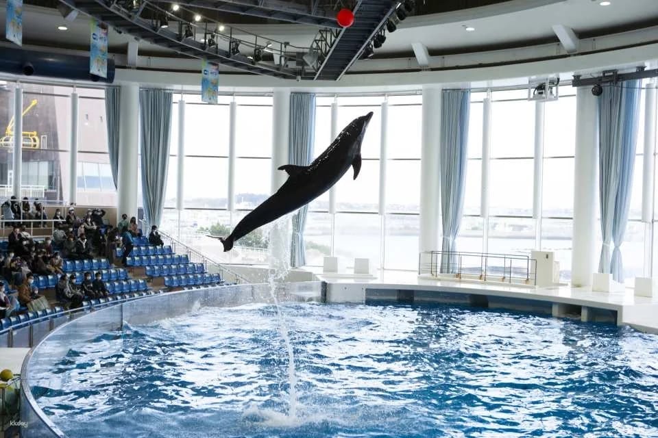 [Smooth entry with advance purchase] Aqua World Ibaraki Oarai Aquarium Admission Ticket