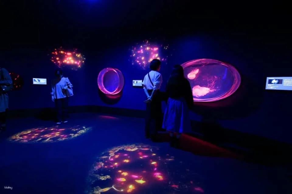 [Smooth entry with advance purchase] Aqua World Ibaraki Oarai Aquarium Admission Ticket