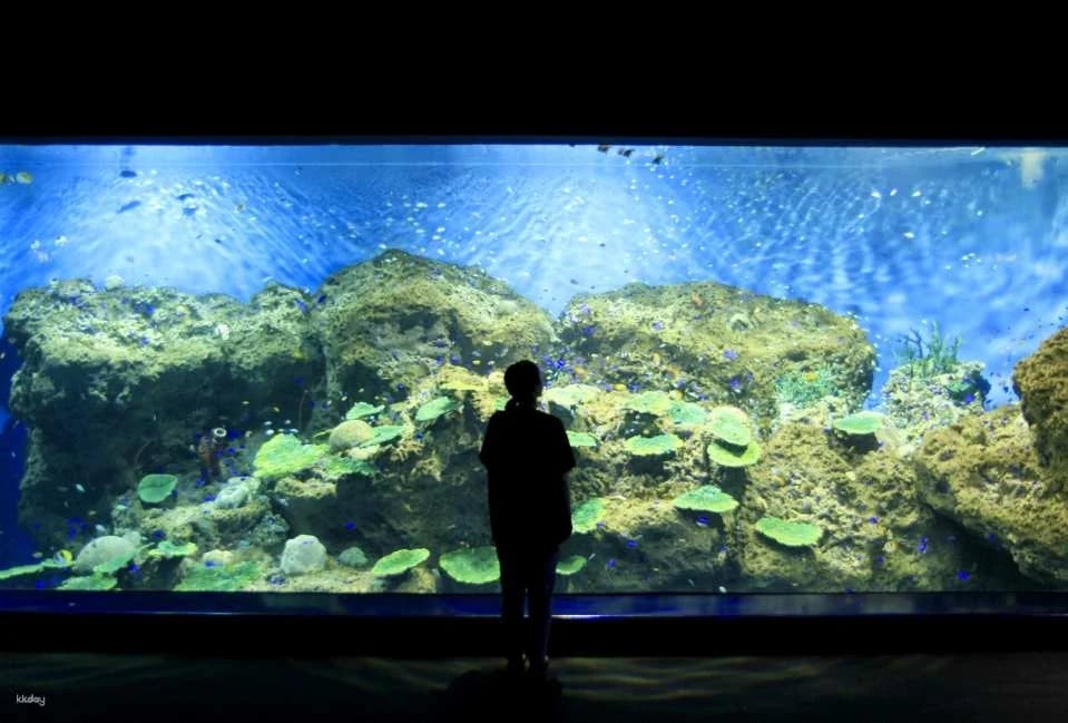 [Smooth entry with advance purchase] Aqua World Ibaraki Oarai Aquarium Admission Ticket