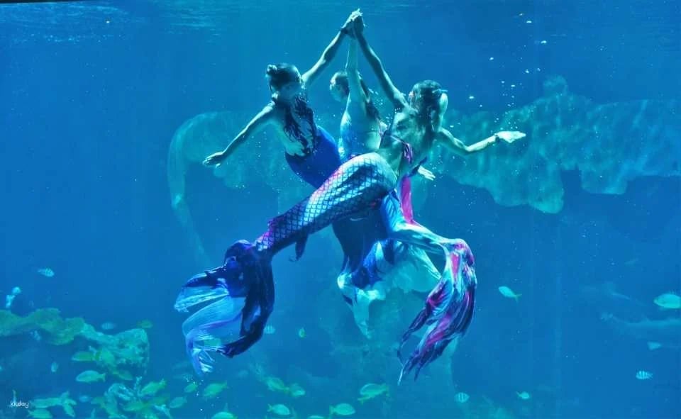 Aquaria Phuket Ticket | Thailand