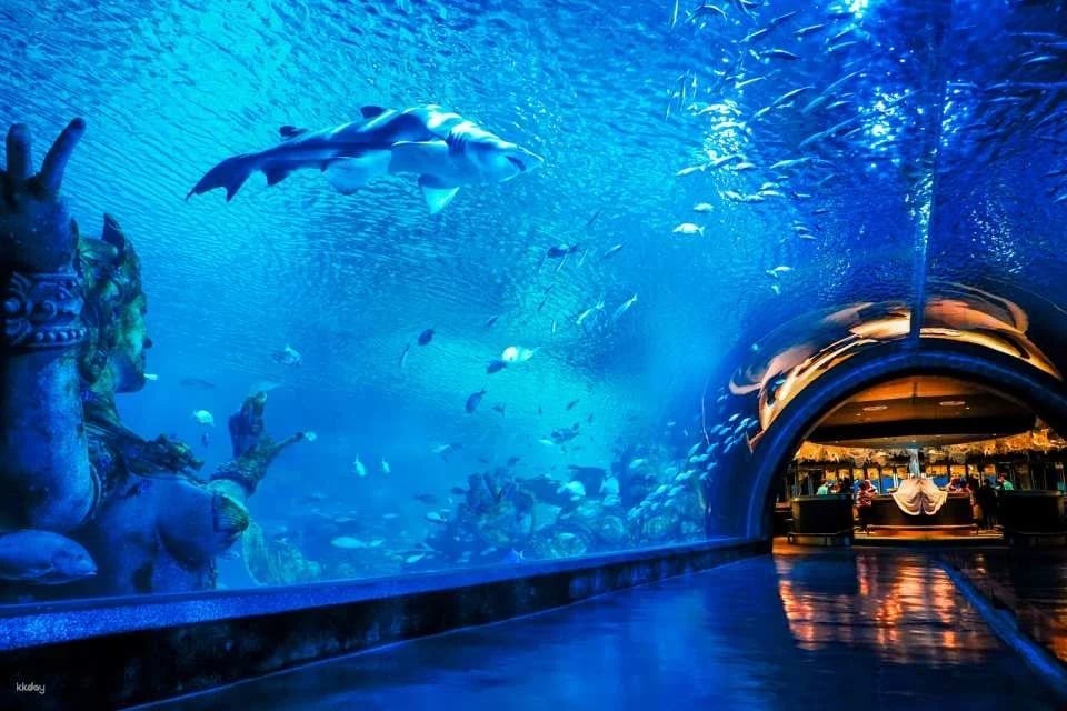 Aquaria Phuket Ticket | Thailand