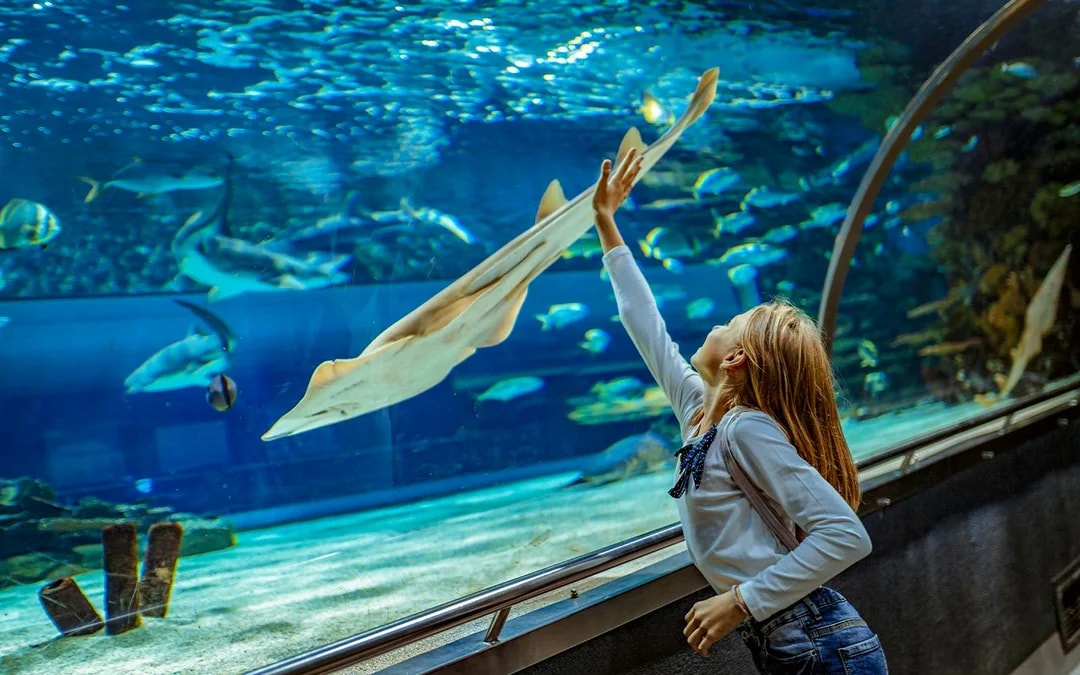 AquaRio: Rio de Janeiro Aquarium Tickets Image 8