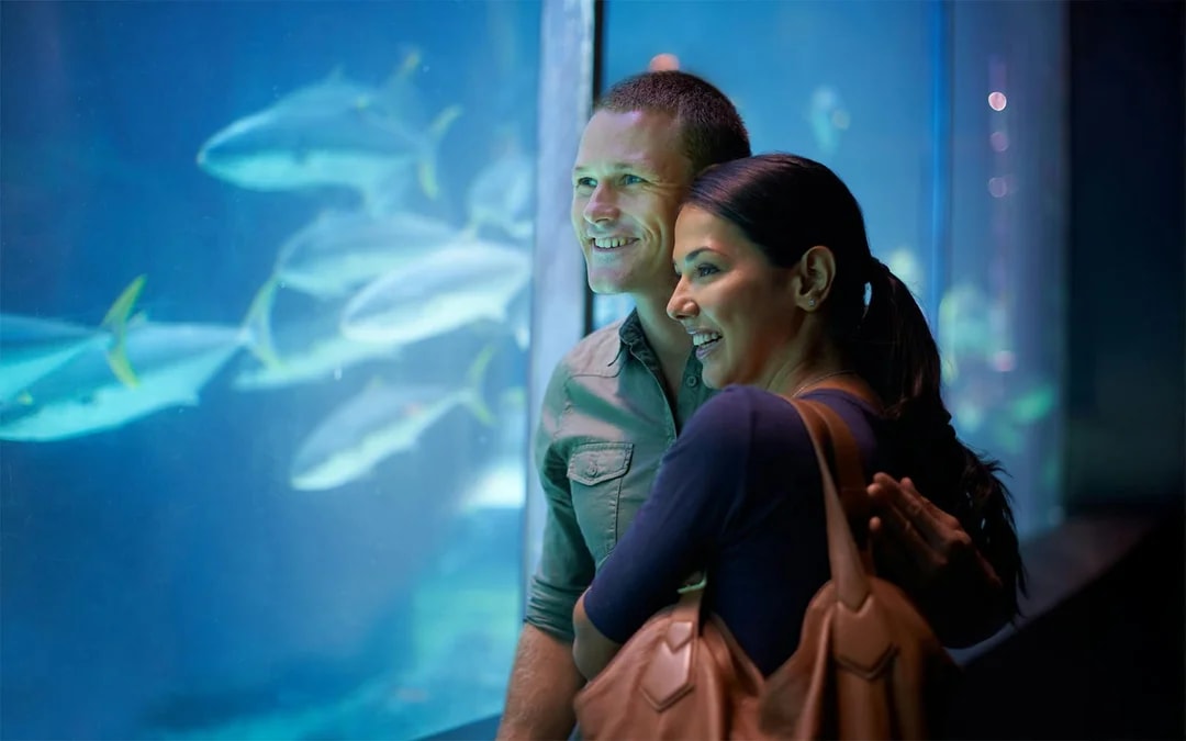AquaRio: Rio de Janeiro Aquarium Tickets Image 9