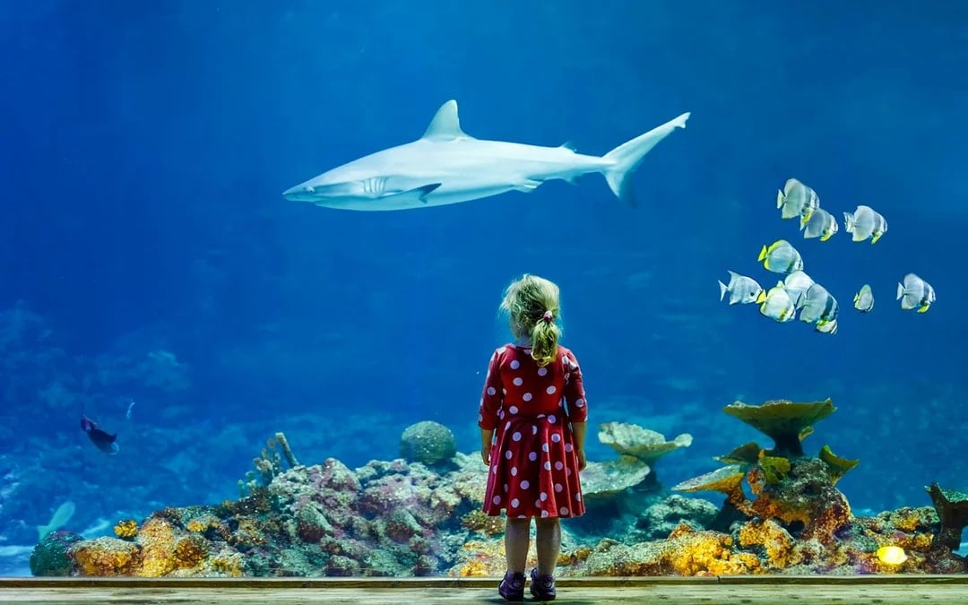 Aquarium de Paris Tickets