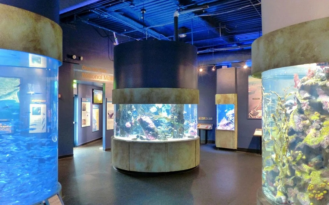 Aquarium of the Bay Tickets Image 2