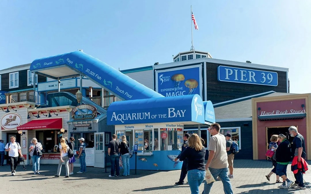 Aquarium of the Bay Tickets Image 8