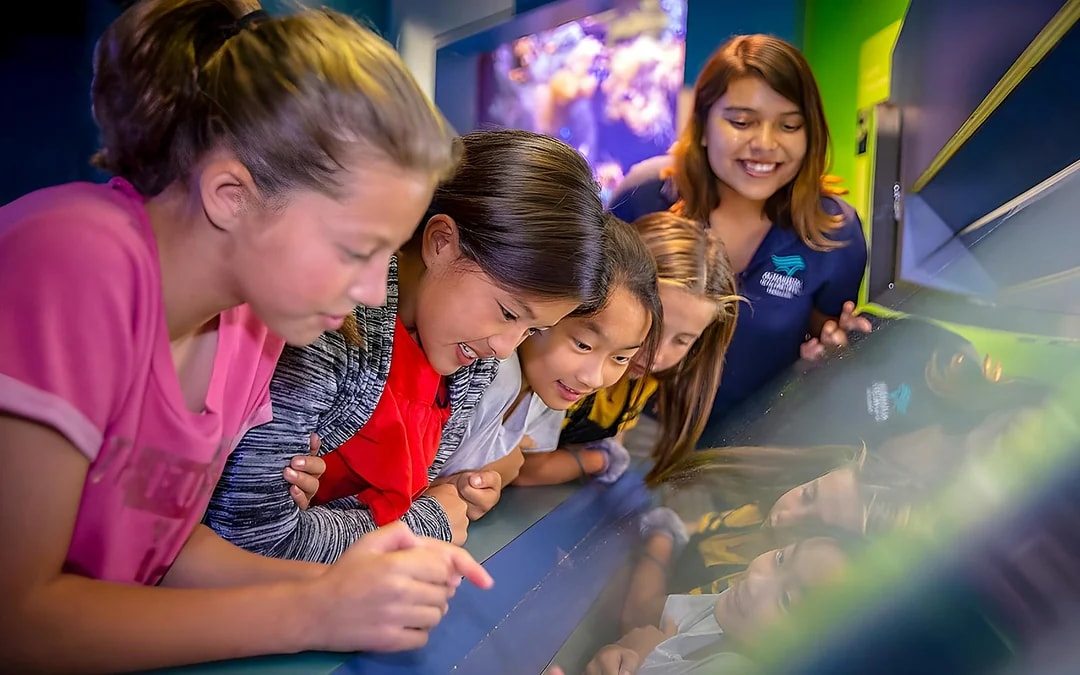 Aquarium of the Pacific Skip-the-Line Tickets Image 5