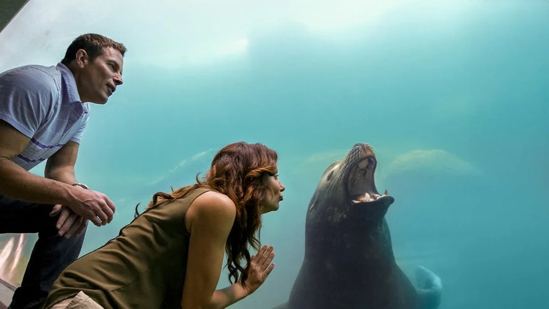 Visitors observing a sea lion through glass at Aquarium of the Pacific.