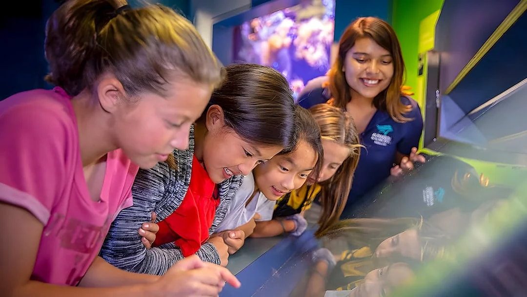 Children exploring interactive exhibit at Aquarium of the Pacific.