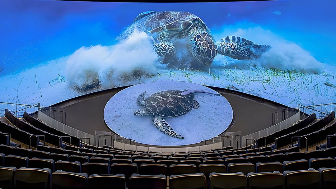 Aquarium of the Pacific theater with sea turtle display on screen.