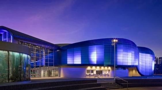 Aquarium of the Pacific: admission experience image 3