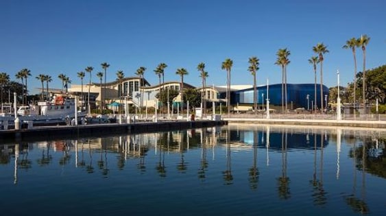 Aquarium of the Pacific: admission