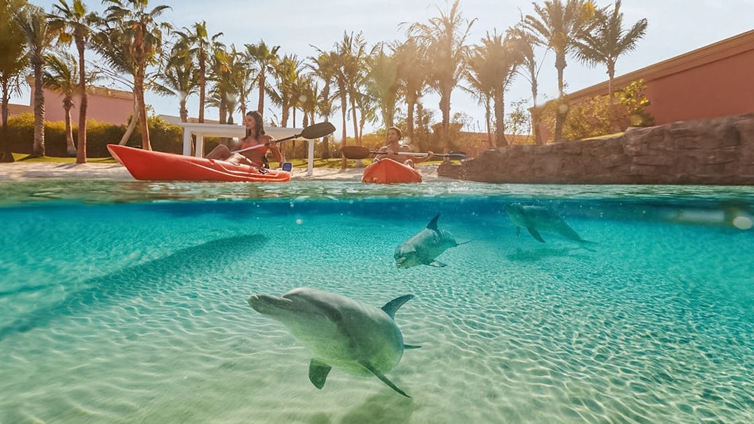 Tourists kayaking with dolphins at Atlantis, The Palm, Dubai.