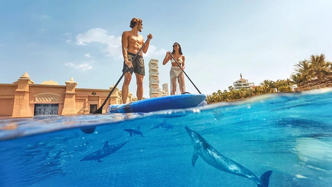 Tourists paddleboarding with dolphins at Atlantis, The Palm, Dubai.