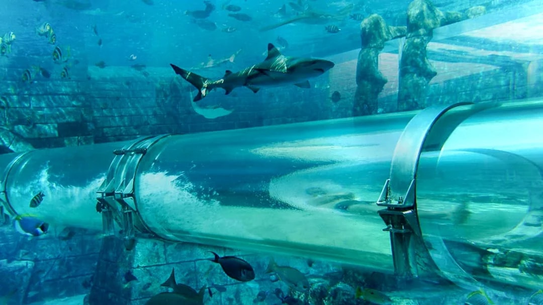 Underwater tube slide with sharks at Atlantis, The Palm, Dubai.