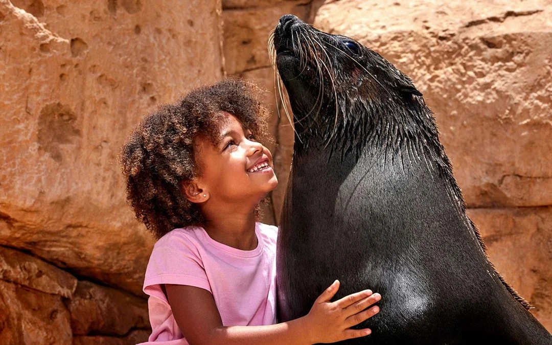 Aquaventure Waterpark Tickets with Sea Lion Encounter Image 6