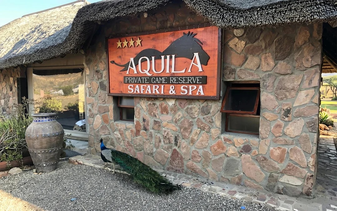 Aquila Private Game Reserve: Sunset Safari Game Drive Ticket Image 6