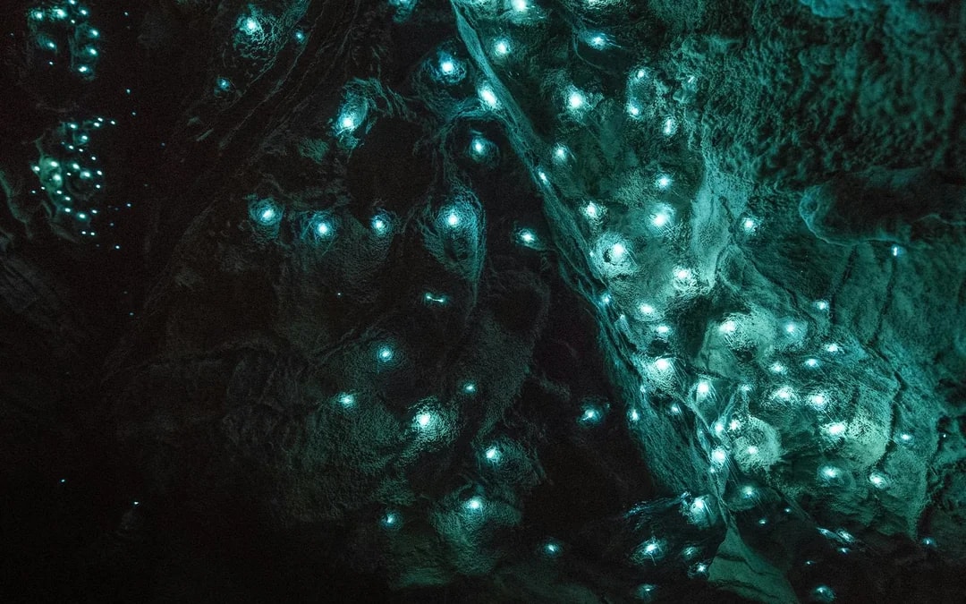 Aranui Cave Guided Tour Image 7