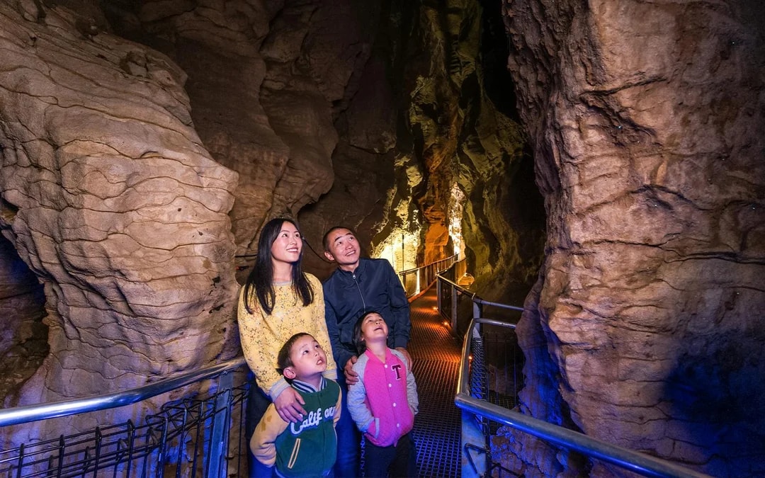 Aranui Cave Guided Tour Image 1
