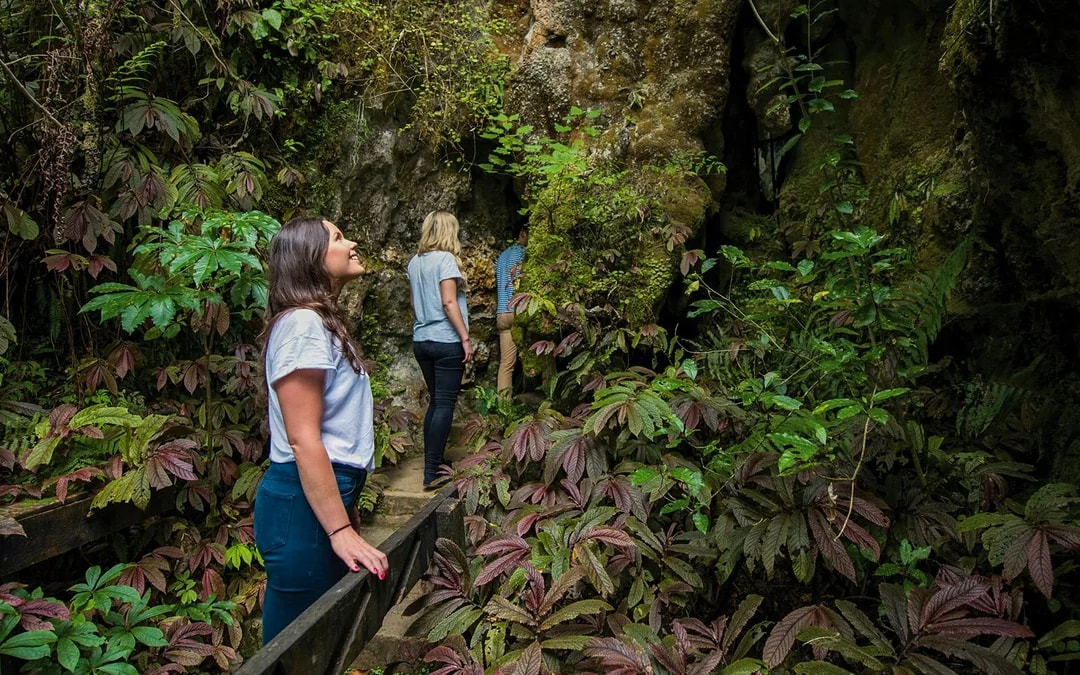 Aranui Cave Guided Tour Image 2