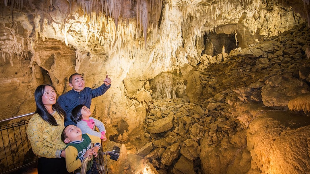 Family exploring stalactites in Aranui Cave, Waitomo during guided tour.