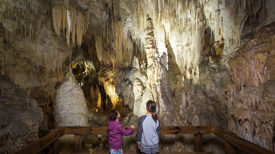 Visitors exploring stalactites and stalagmites in Aranui Cave during a guided tour.