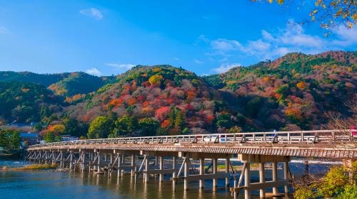 1-day tour to Arashiyama, Nara Park and Fushimi Inari Taisha | Ancient capital sightseeing Day Tours