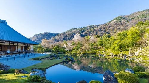 1-day tour to Arashiyama, Nara Park and Fushimi Inari Taisha | Ancient capital sightseeing Day Tours