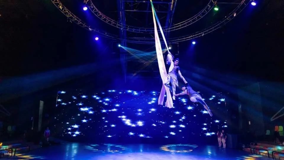Jeju Circus World: Art Circus - Admission Ticket | South Korea