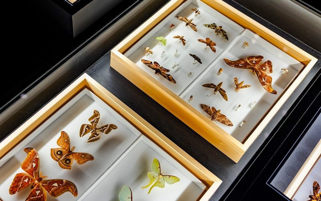 ArtScience Museum Exhibition Tickets Image 9
