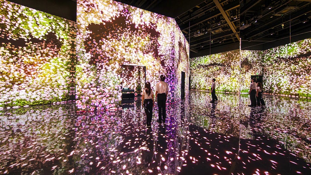 Couple exploring digital flower exhibit at Arte Museum Dubai.