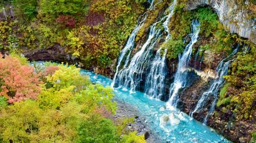 Hokkaido classic 1-day tour: Asahiyama zoo + Shirahige waterfall + Shirogane blue pond (Aoiike) + Forest elf terrace Day Tours experience image 3