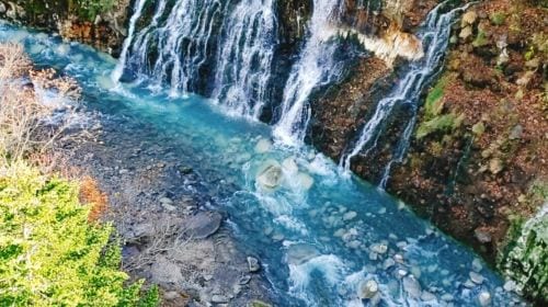 Hokkaido Asahiyama Zoo + Shirogane Blue Pond (Aoiike) + Shirahige Waterfall + Ningle Terrace 1-day tour Day Tours