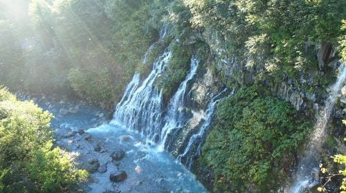 Hokkaido Asahiyama Zoo + Shirogane Blue Pond (Aoiike) + Shirahige Waterfall + Ningle Terrace 1-day tour Day Tours
