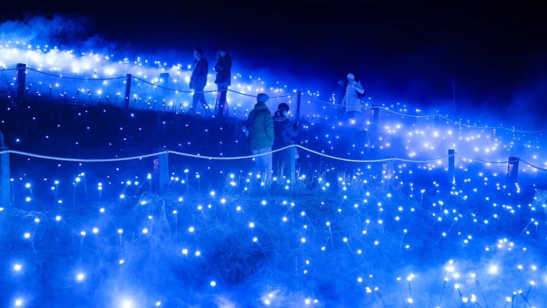 Guests walking along the illuminated celestial trail at Astra Lumina, Currumbin Wildlife Sanctuary.