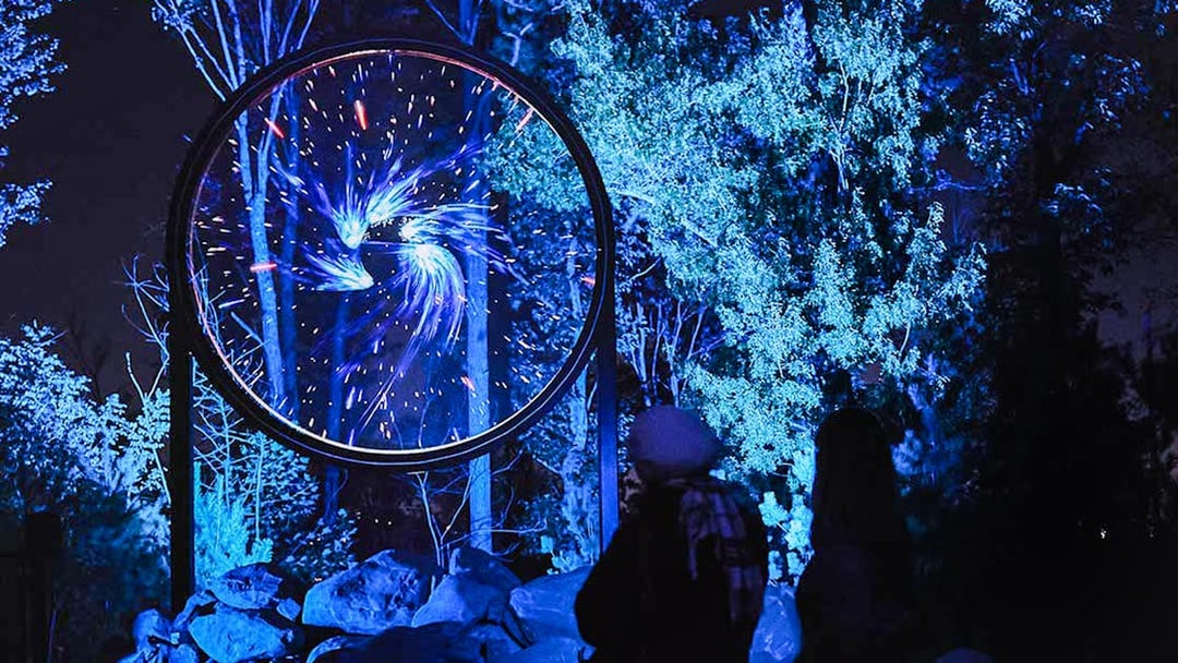 Cosmic display at Astra Lumina, Currumbin Wildlife Sanctuary, with visitors observing.